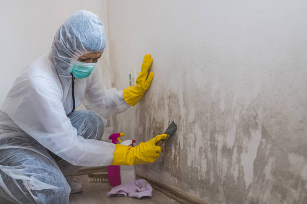 Mold Remediation for Vacation Homes in Wenatchee, WA